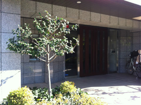 その他共用部 エントランス2