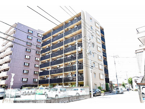 現地外観写真 外観