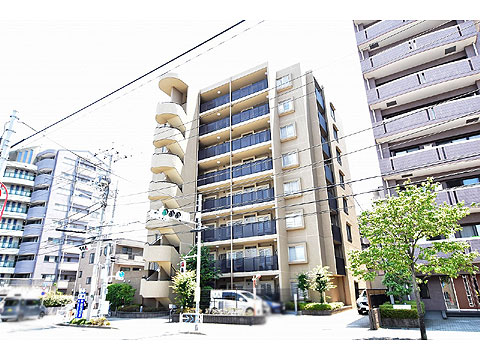 現地外観写真 外観