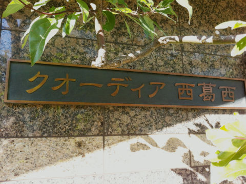 その他共用部　写真1