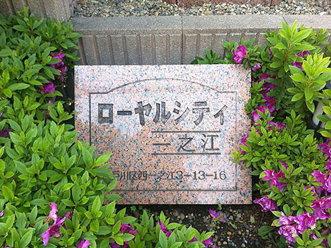 その他共用部 写真1