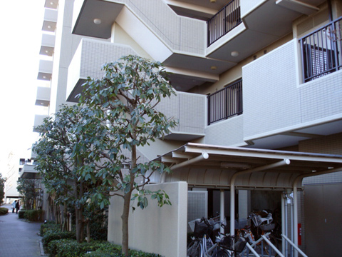 その他共用部 外観5