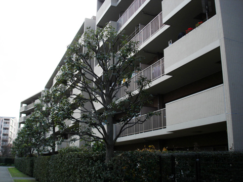 その他共用部 外観6