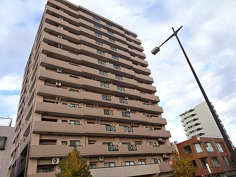 現地外観写真 外観