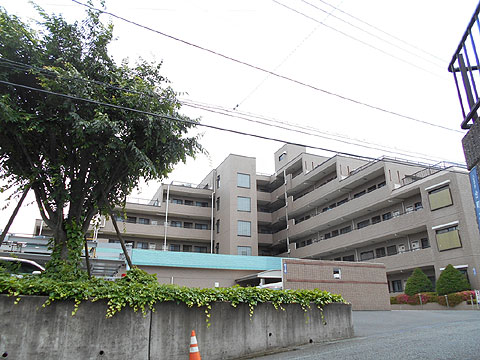 現地外観写真 外観