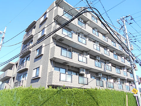 現地外観写真　外観