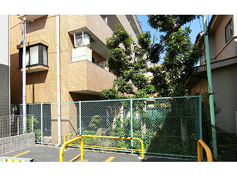 現地外観写真 建物外観➆