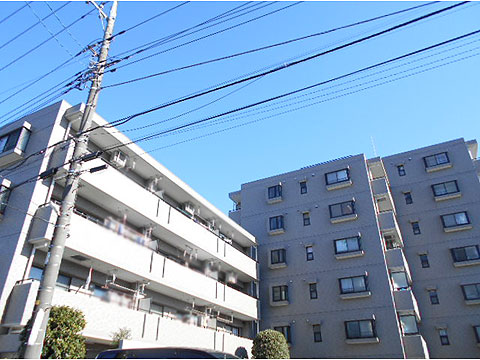 現地外観写真 外観