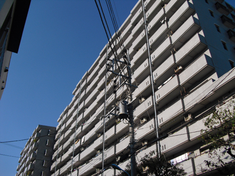 その他共用部 外観5