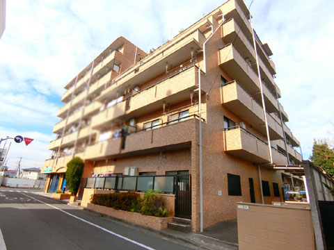 現地外観写真 外観