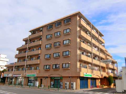 現地外観写真 外観