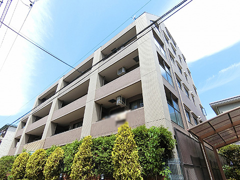 現地外観写真 外観