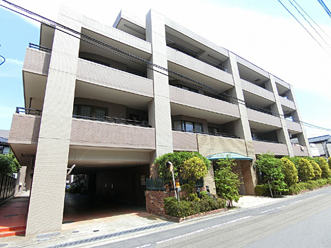 現地外観写真 外観