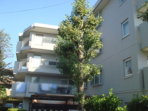 その他共用部　外観2