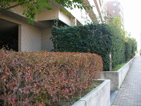 その他共用部 写真2