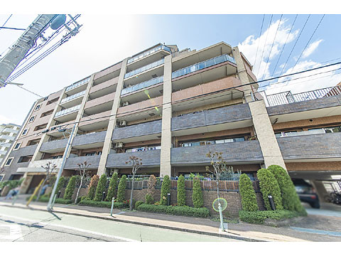 現地外観写真　外観