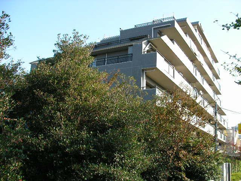 その他共用部 外観2