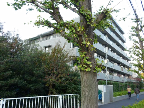 その他共用部 外観4