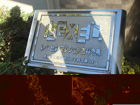 その他共用部　写真1