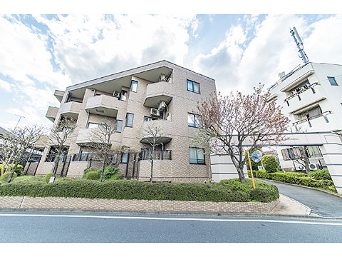 現地外観写真 外観