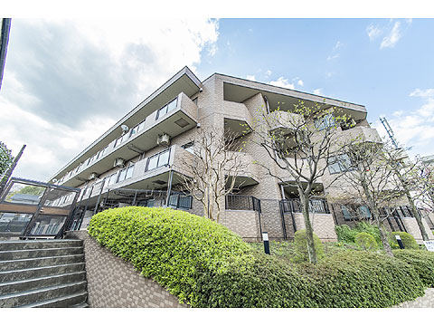 現地外観写真 外観