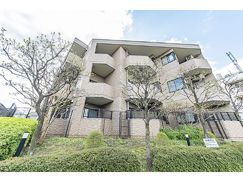 現地外観写真 外観