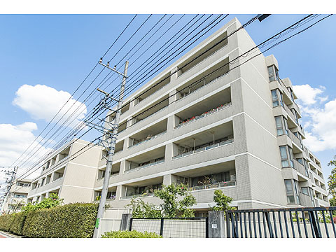 現地外観写真 外観