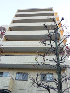 その他共用部 外観6