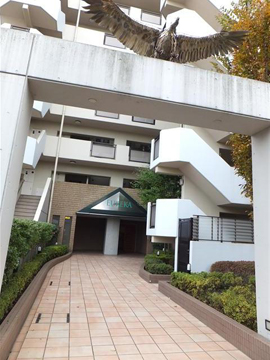 その他共用部　エントランス1