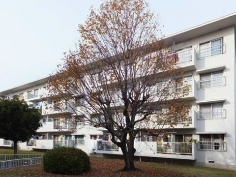 その他共用部　外観6