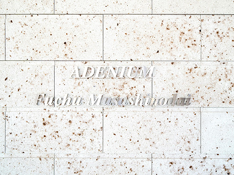 その他共用部　アデニウム府中武蔵野台_10