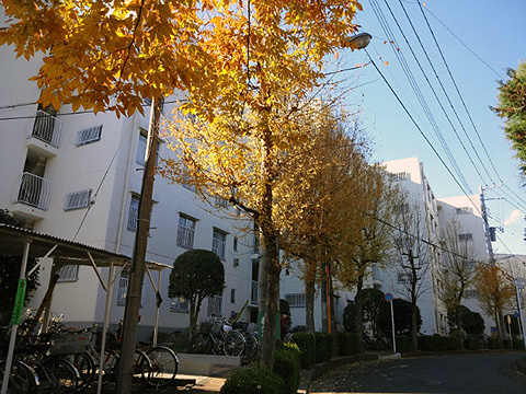 その他共用部　外観3