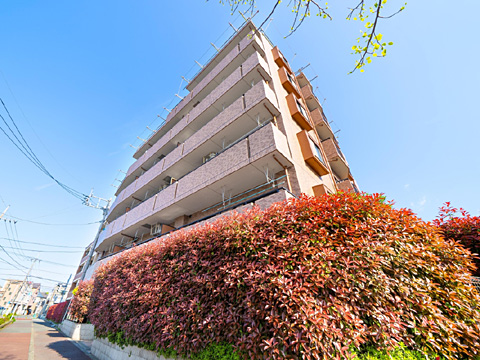 現地外観写真 ライオンズマンション武蔵野台_2