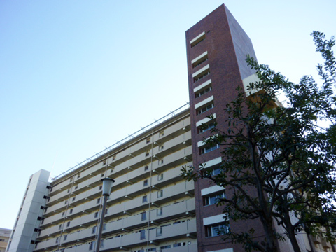 その他共用部 外観3