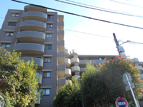 現地外観写真　外観（北側）