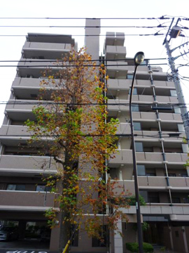 その他共用部　外観2