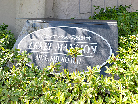 その他共用部　レクセルマンション武蔵野台_10