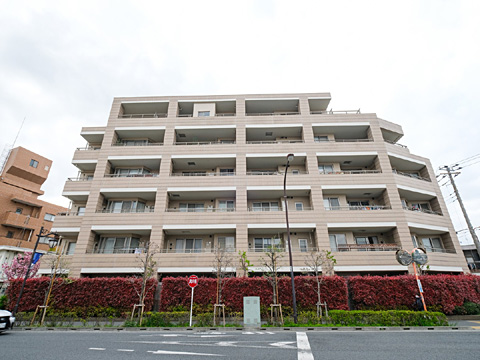 現地外観写真　外観