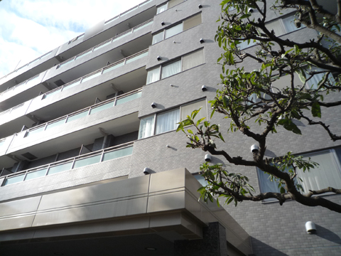 その他共用部 外観4