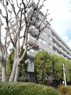 その他共用部 外観5