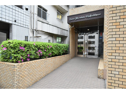 エントランス　DSC_0965