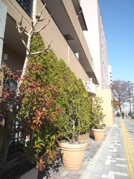 その他共用部 写真2