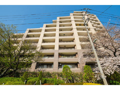 現地外観写真 ライオンズガーデン調布ヶ丘-3