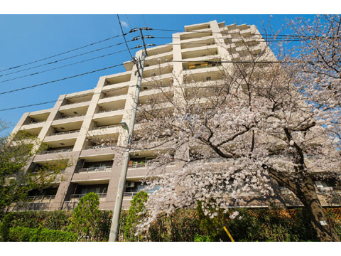 現地外観写真 ライオンズガーデン調布ヶ丘-4