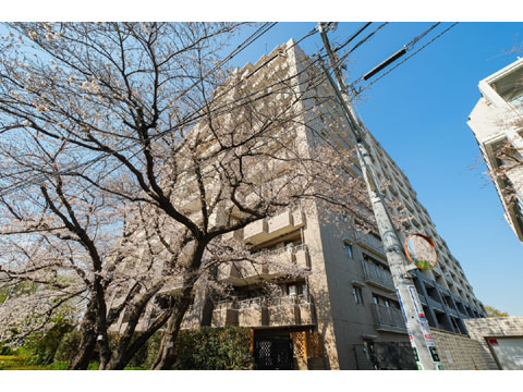 現地外観写真 ライオンズガーデン調布ヶ丘-5