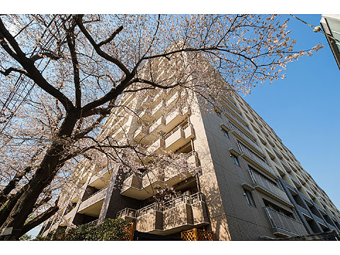 現地外観写真 ライオンズガーデン調布ヶ丘-6