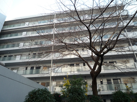 その他共用部 外観3