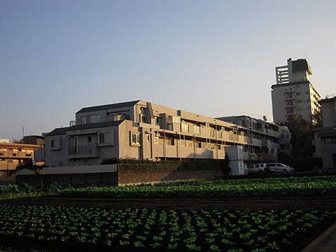 その他共用部　外観２