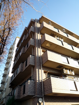 その他共用部 外観3