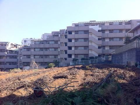 その他共用部 外観4